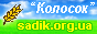 ДНЗ 