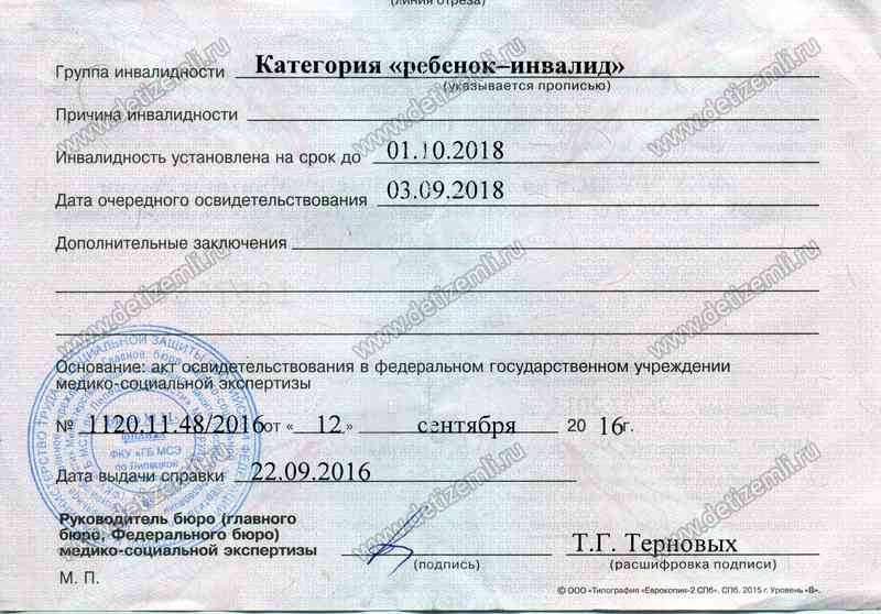 Что делать инвалиду 1 группы. 1 Группа инвалидности. Справка об инвалидности. Справка об инвалидности 1 группы. Справка об инвалидности 2 группы.